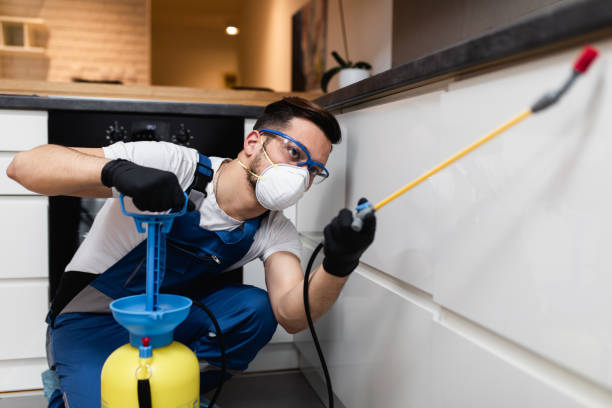 Best Best Pest Control Companies  in Cottonwood, CA