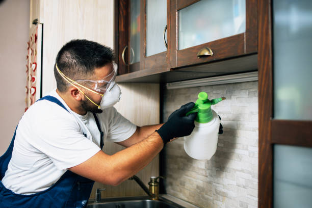 Best Best Pest Control Companies  in Cottonwood, CA