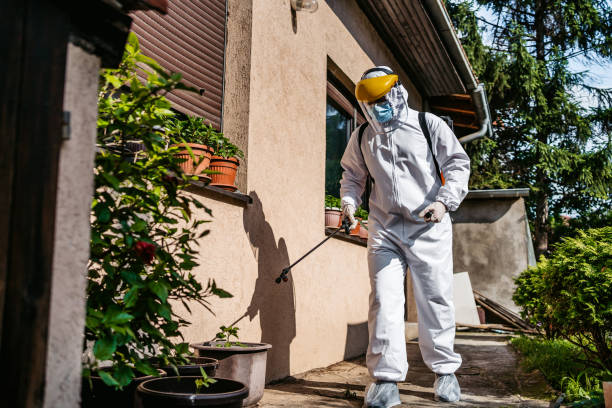 Best Bird Control  in Cottonwood, CA