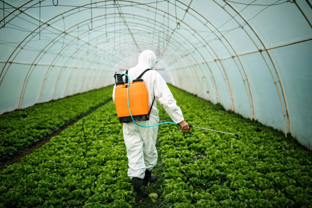 Best Mosquito Control Services  in Cottonwood, CA