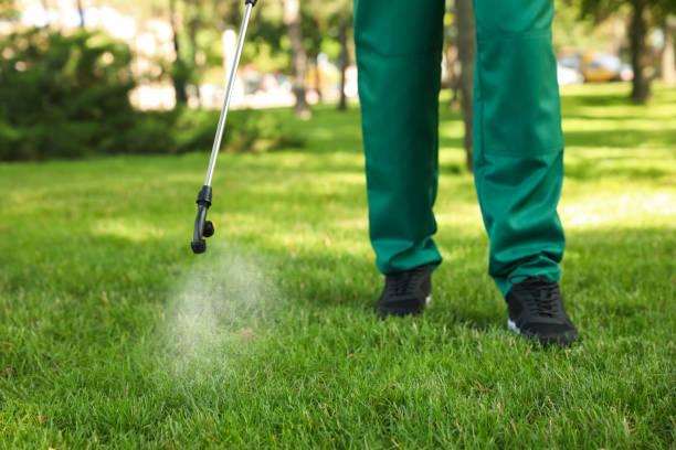 Best Local Pest Control Services  in Cottonwood, CA