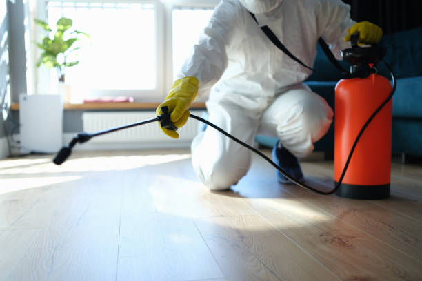 Reliable Cottonwood, CA Pest Control Solutions