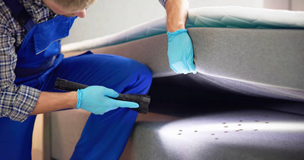 Best Rat Extermination Near Me  in Cottonwood, CA