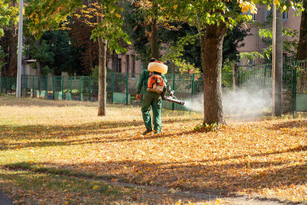 Best Wildlife Control Services  in Cottonwood, CA