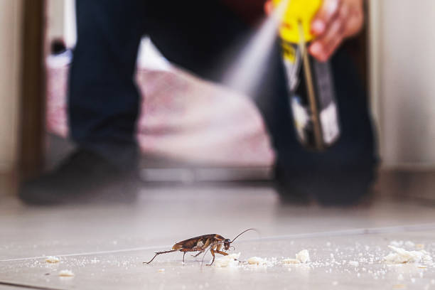 Best Exterminator Services  in Cottonwood, CA