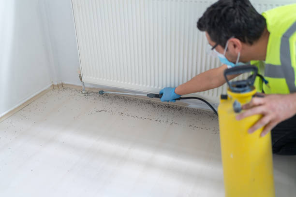 Best Residential Pest Control  in Cottonwood, CA