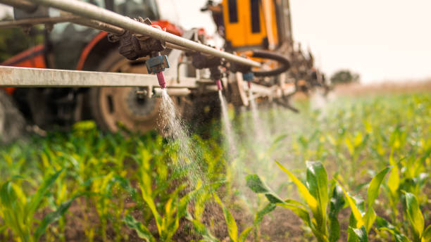 Professional Pest Control in Cottonwood, CA